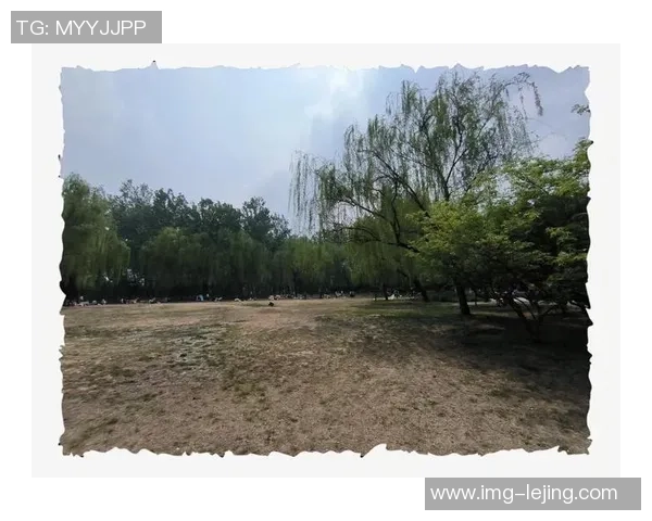 海淀公园足球场周边休闲活动推荐与亲子互动体验攻略